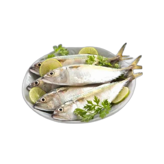 سمك ماكريل طازج صغير 1 كجم عبوة