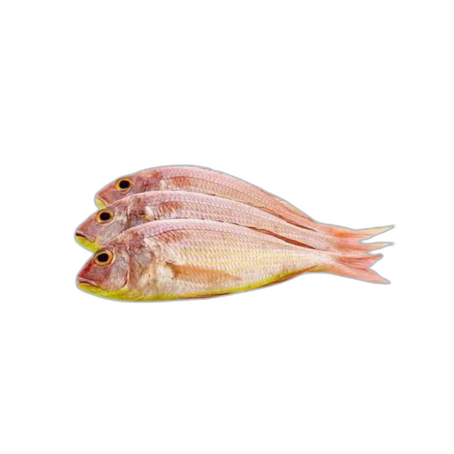 Fresh Sultan Ibrahim Fish 1 kg Packet