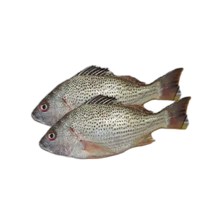 نقرور 2 كيلو