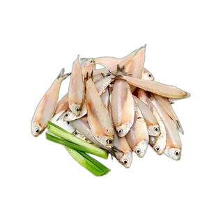 Fresh Indian Anchovy 1 kg Packet