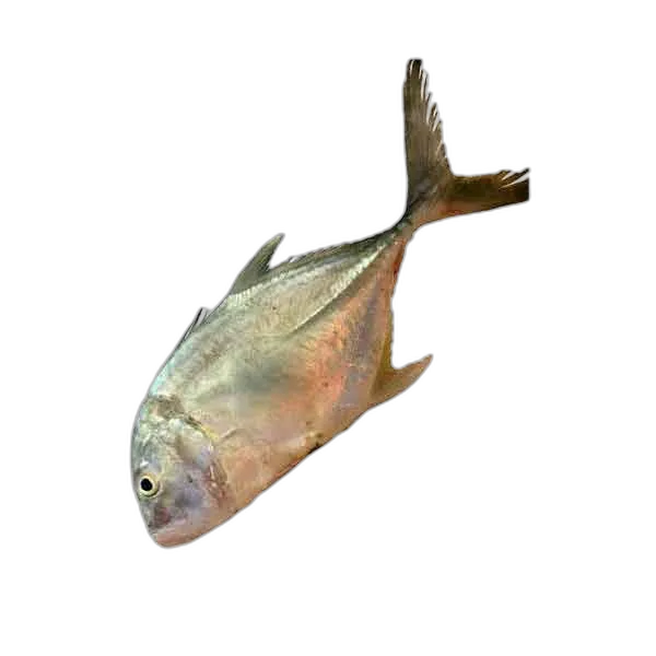 Parava Fish 1kg