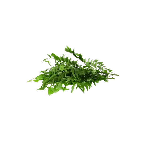قطع ورق الكاري
