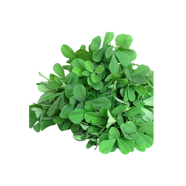 Methi Leaves Piece