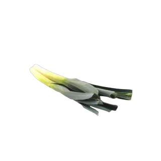 Dutch Leeks, 1kg