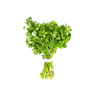 Coriander Leaves Pieces