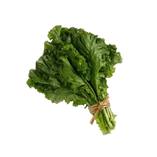 Mustasha Leaves Bunch