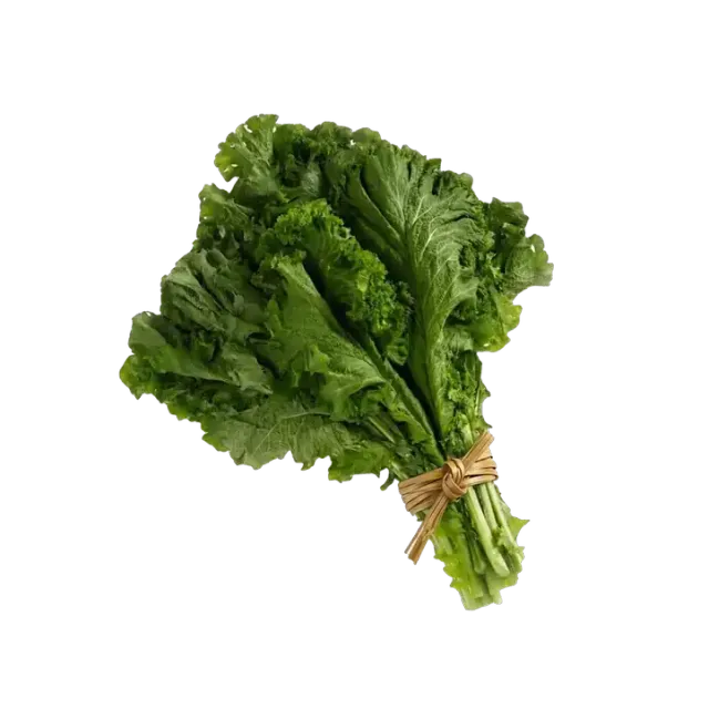 Mustasha Leaves Bunch
