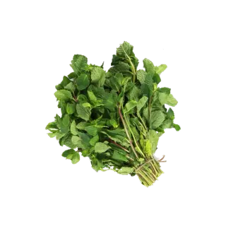 Mint Leaves India Bunch