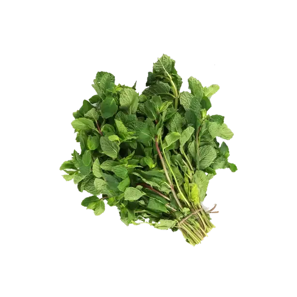Mint Leaves India Bunch