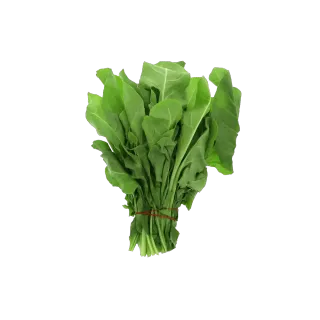 قطع بالاك
