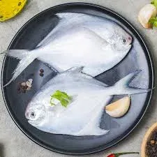زبيدي أبيض كبير طازج لكل كجم تقريباً