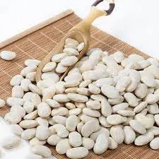 فاصوليا بيضاء 500 جم