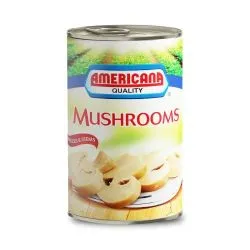 Americana Mushroom Pieces & Stems