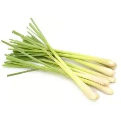Lemon Grass Thailand