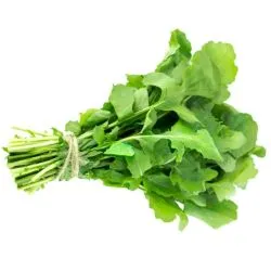 Rocket Leaves Kuwait