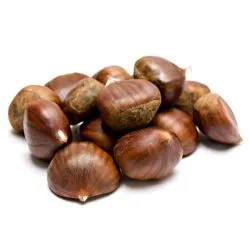 كستناء الصين