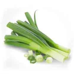 كراث هولندا