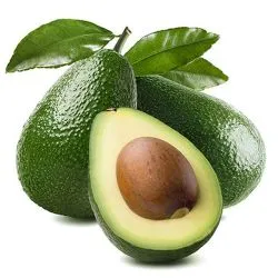 Avocado Australia
