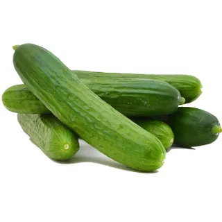 خيار كويتي علبة صغيرة