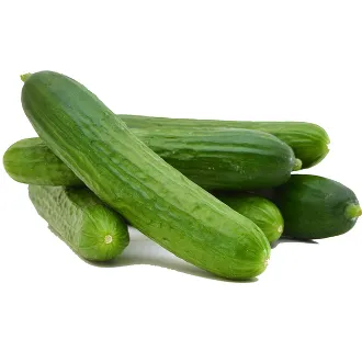 Cucumber Kuwait (Box)