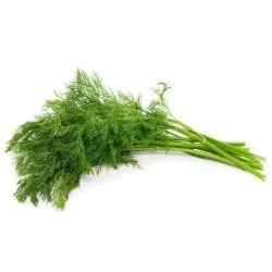Dill Herbs Big Bunch Kuwait