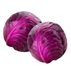 ملفوف أحمر سعودى