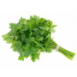 Parsley Herbs Kuwait