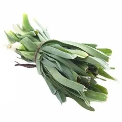 Korrat Herbs Kuwait