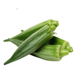 بامية سعودي للصندوق