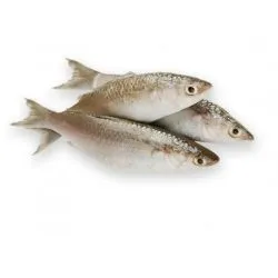 Mead Fish Oman