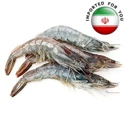 جمبري (متوسط) إيران