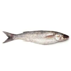 Mullet Boori Whole Fish Egypt