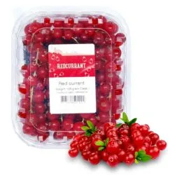 Red Currant (Pack) Holland