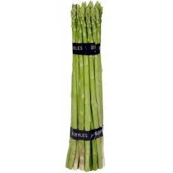 Green Asparagus Thailand