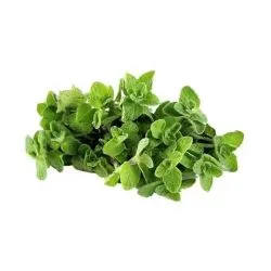 Herbs Thyme Wild green Zoubai Small Box