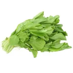 Earth Herbs Rocket