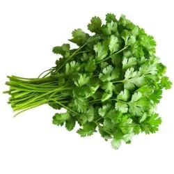 Earth Herbs Coriander