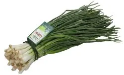 Earth Organic Spring Onions Bunch