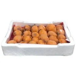 Loquats Jordan