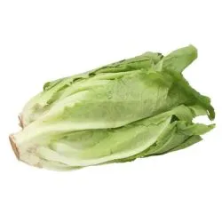 Earth Organic Lettuce