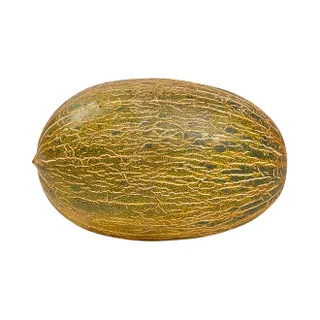 Cantaloupe Melon Egypt