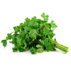 Organic Earth Herbs Parsley