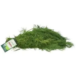 Earth Organic Dill