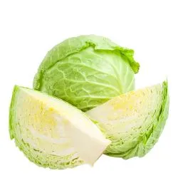 Cabbage White Saudi (Box)