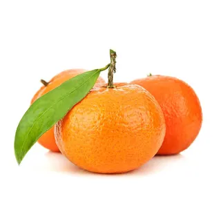 كليمنتين لبنان