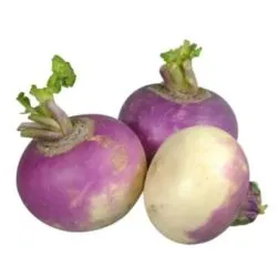 لاما لفت