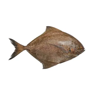 Halwayouh Whole Fish Kuwait