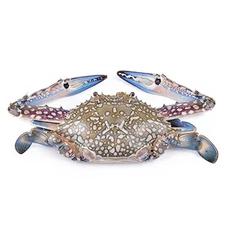 Crab (Gobgob) Kuwait