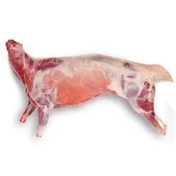 Lamb Carcass Arabic