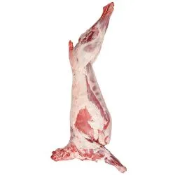 Lamb Carcass New Zealand